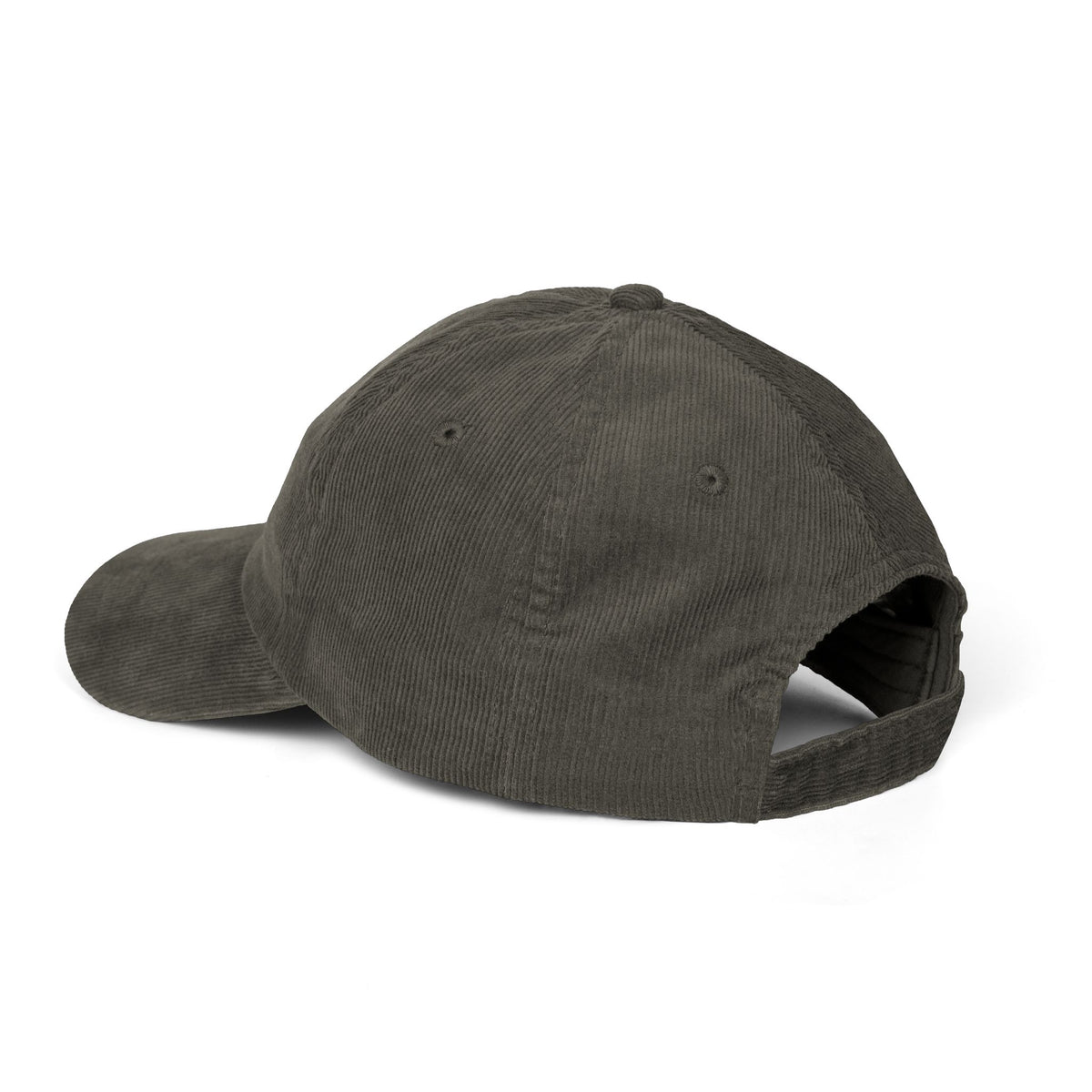 Personalized Embroidered Palomino Plenty Good Ponies Corduroy Hat